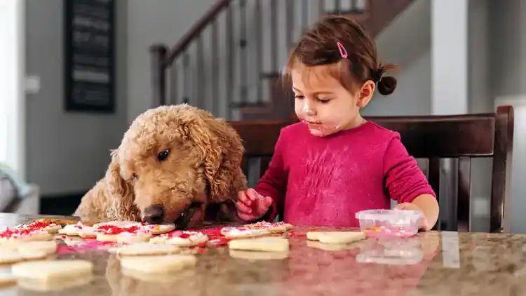 Niña mirando unas galletas